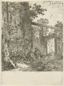 Bevuxen ruin