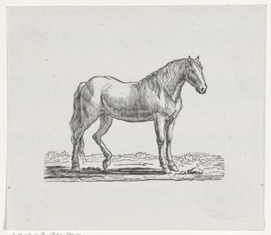 Häst av Hendrik Numan