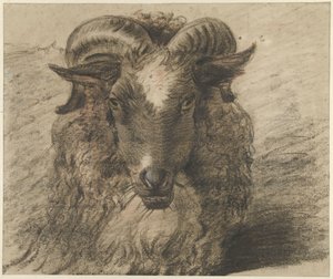 Huvudet på en bagge av Hendrik Stokvisch