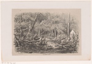 Fallna träd på Jacobalaan, efter stormen den 28 maj 1860 Jacobalaan (titel på objekt) Album med tio litograferade skisser, föreställande Toneelen van de Verwoessing, påverkad av stormen den 28 maj 1860 i 