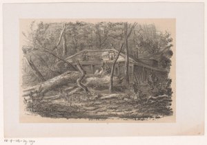 Träd som blåste ner vid Buitenlust, efter stormen den 28 maj 1860 Buitenlust (titel på objekt) Album med tio litograferade skisser, föreställande Tooneelen of the Destruction, agitated by the storm of the 28 maj, 1860 in the 