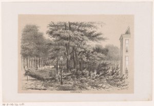 Träd som blåste ner nära Voorhout, efter stormen den 28 maj 1860 Voorhout (titel på objekt) Album med tio litograferade skisser, föreställande Tooneelen of the Destruction, upprörd av stormen den 28 maj 1860 i 
