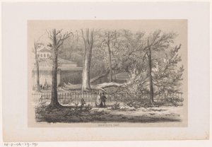 Träd som blåste ner på klubben, efter stormen den 28 maj 1860 Socialt tält (titel på objekt) Album med tio litograferade skisser, föreställande Tooneelen of the Destruction, upprörd av stormen den 28 maj 1860 i 
