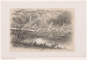 Träd blåst, efter stormen den 28 maj 1860 Damm (titel på objekt) Album med tio litografiska skisser, föreställande Tooneelen of the Destruction, agiterad av stormen den 28 maj 1860 i 