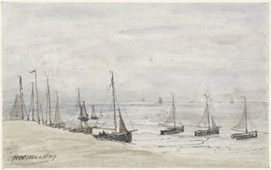 Fiskefingrar på stranden