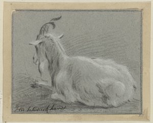 Liggande get av Hendrik Willem Schweickhardt (signed by artist)