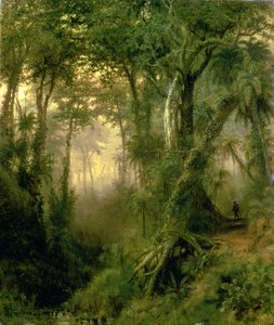 En jägare i den kubanska djungeln, soluppgång av Henri Cleenewerck