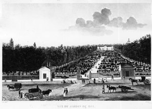Vy över kungens trädgård: Jardin des Plantes i Paris - gravyr av Courvoisier av Henri Courvoisier-Voisin