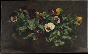 Stilleben med penséer av Henri Fantin-Latour