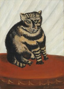 Tabbyn