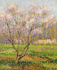 Äppelträd i blom; Äppelblommor, av Henri Martin