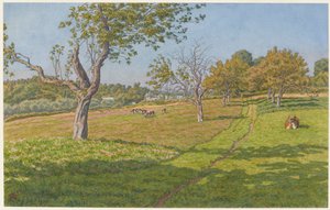 Åkrar i Auffay av Henri Rivière