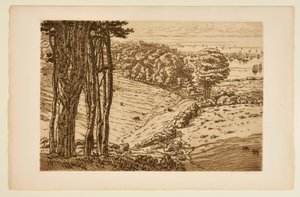 [Hamnen i Douarnenez] av Henri Rivière