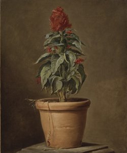 En krukväxt av Henri Roland de la Porte