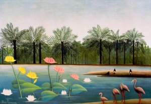 Flamingos