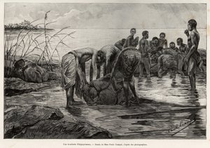 En flodhästslaktare på stranden av en centralafrikansk flod. Gravyr av Henri Thiriat för att illustrera berättelsen "" La mission Crampel"", av Albert Nebout (1862-1939), 1890, i Le tour du Monde 1892, regisserad av Edouard Charton (1807-1891), Hachette, P