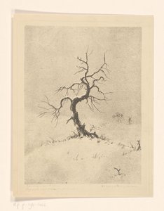 Lonely Tree (originaltitel på objekt)