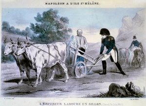 Napoleon I (1769-1821) a Saint Helene: kejsaren plöjer en fåra (1816-06-30) Skurkens litografi. 1816 Ile d