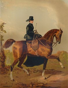 "A Ladies Horse - The Property of the Late Earl of Pembroke", c1840s, c1879. av Henri d