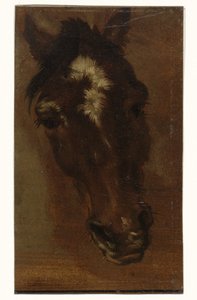 hästhuvud av Henriëtte Ronner