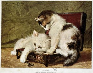 Folatrerie (kattungar) - av Henriette Ronner