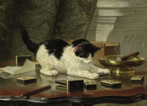 Kattungar, ca 1860-1870