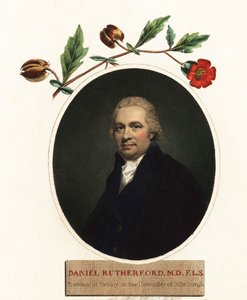 Porträtt av Daniel Rutherford, botaniker.1805 (gravyr) av Henry (after) Raeburn