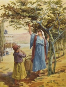 Samla fikon (färg litho)