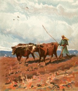 kulima
