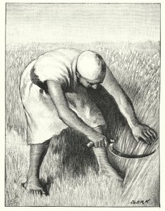 Skörda i öst (litho) av Henry Andrew Harper