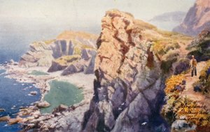 Badvikar, från Torrs Walk, Ilfracombe (färglitografi)