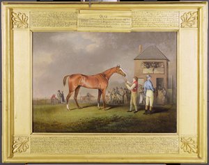 Porträtt av "Quiz", Lord Rous egendom, efter hans sista lopp på Newmarket (olja på duk)