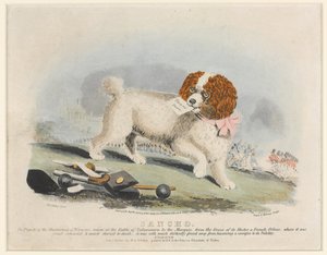 ?Sancho?, Slaget vid Salamanca, 1812