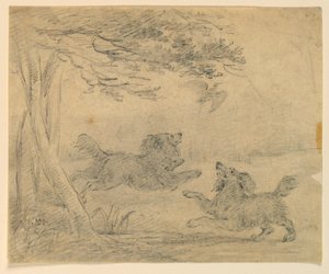 Studie av två spaniels i en park