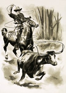 En cowboy repar en stut från hästryggen med ett lasso