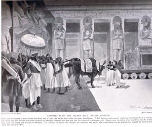 Cambyses dräper den heliga tjuren, illustration från 
