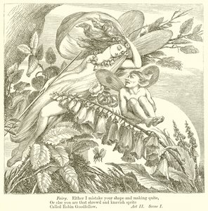 En midsommarnattsdröm av Henry Courtney Selous