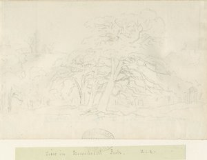 Beaudesert Park: blyertsteckning, nd [1788-1855]