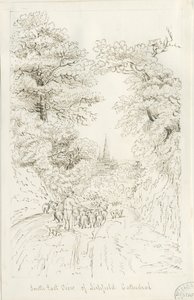 Lichfield Cathedral - South East View (avlägsen): pennteckning, nd [19th cent] (ritning)