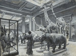 Interiörvy av British Museum som visar galleriet som innehåller djurutställningar, c.1880 av Henry Edward Tidmarsh