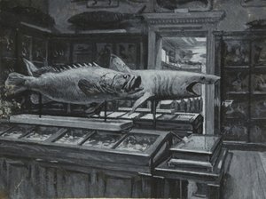 Interiörvy av British Museum som visar galleriet med fiskutställningar, ca 1880 (tvätt och kroppsfärg på papper) av Henry Edward Tidmarsh
