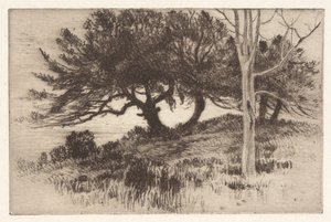 Nära havet av Henry Farrer