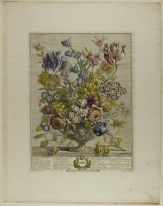 April, från Tolv månader av blommor av Henry Fletcher