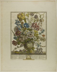 Mars, från Tolv månader av blommor av Henry Fletcher