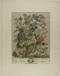 maj, från Tolv månader av blommor av Henry Fletcher