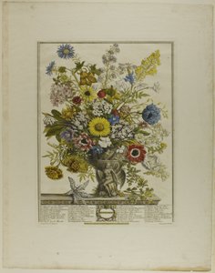 November, från Tolv månader av blommor av Henry Fletcher