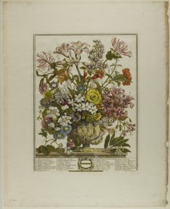 Oktober, från Tolv månader av blommor av Henry Fletcher