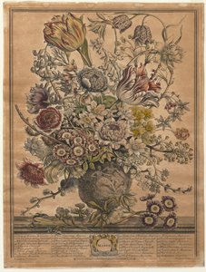 Tolv månaders blommor: mars 1730.