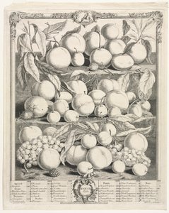 Tolv månaders frukt: augusti 1732. av Henry Fletcher