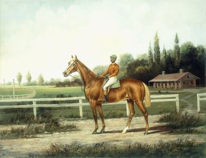 En kastanjebrun kapplöpningshäst med jockey uppe på en träningsbana med stallar bortom,